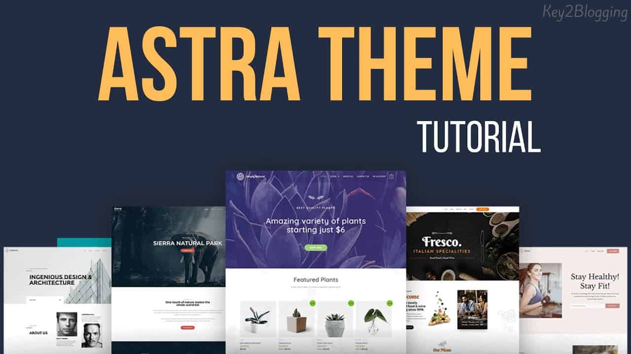 Astra Theme Customization in WordPress