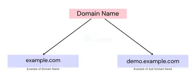 Example of Domain Name and Sub-Domain Name