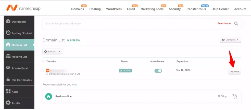 Domain Management in Namecheap